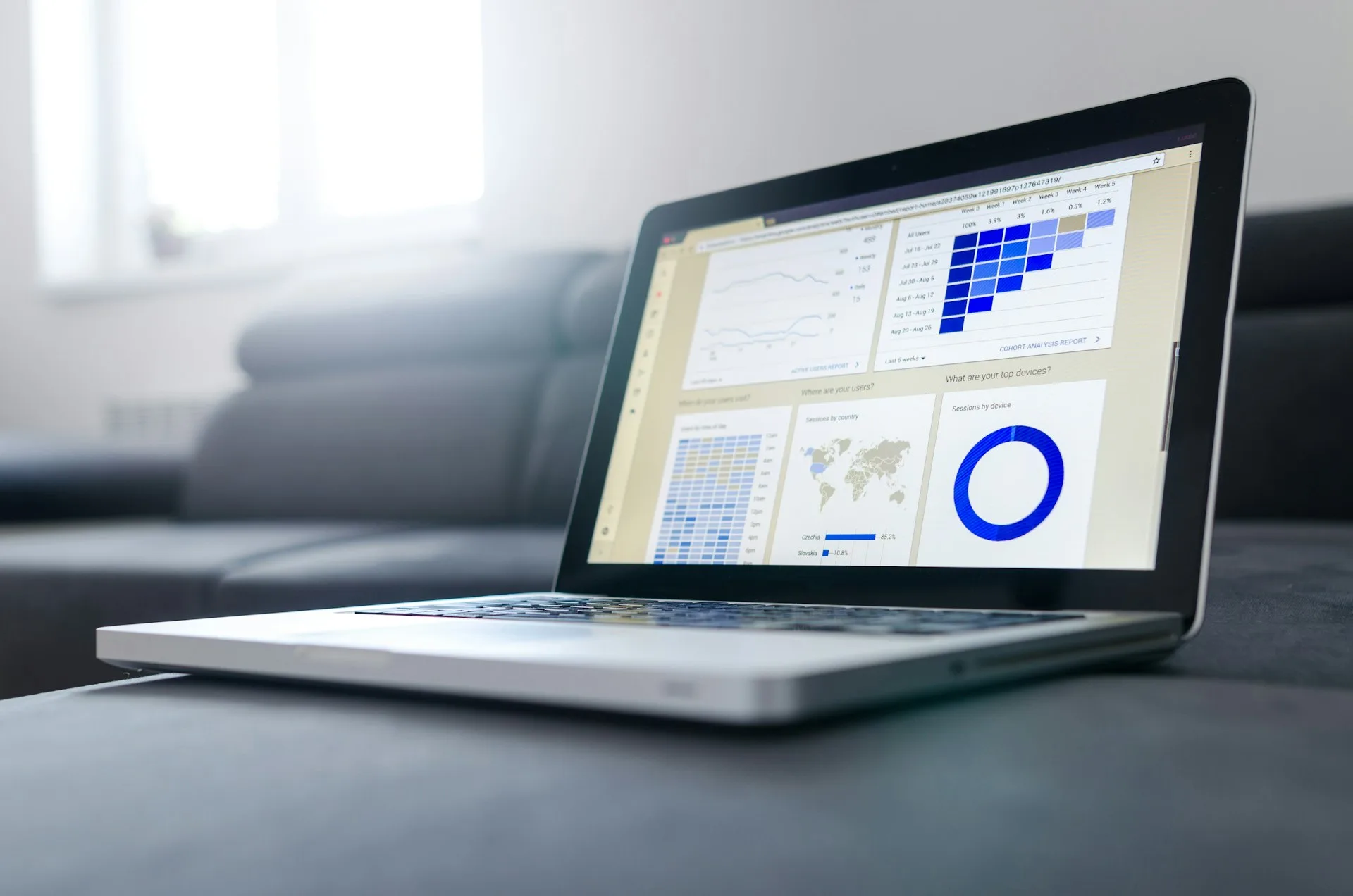 WordPress Development in Sterling Heights