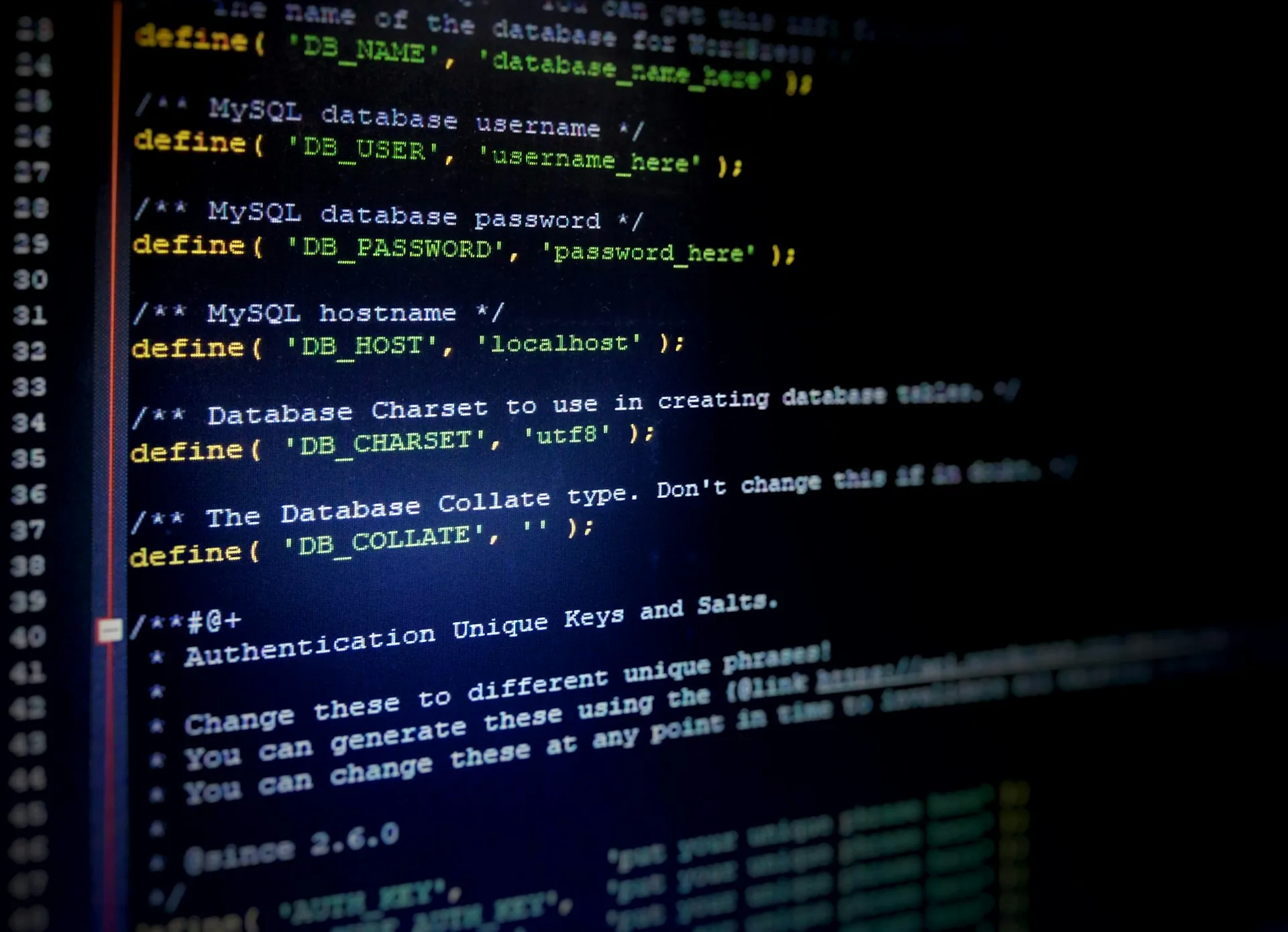 WordPress development code and design for Warren business
